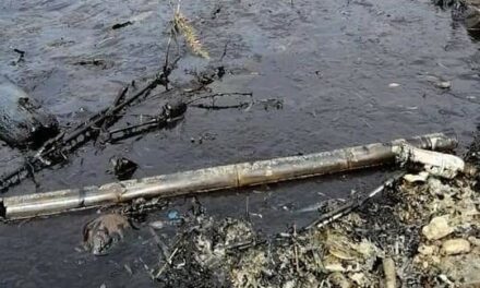 Antique island town under state of calamity due to oil spill