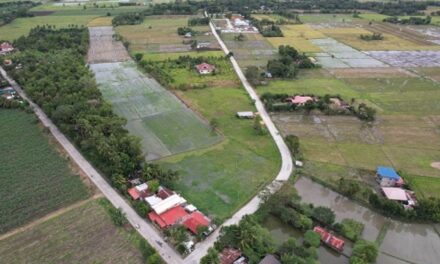 Road project to further enhance mobility, connectivity in northern Iloilo