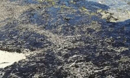 Iloilo LGUs told to monitor Mindoro oil spill