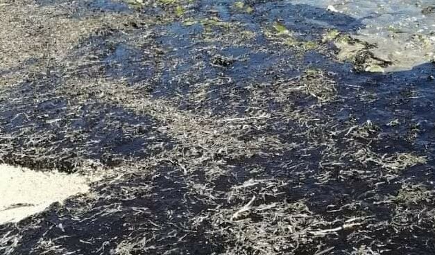 Iloilo LGUs told to monitor Mindoro oil spill