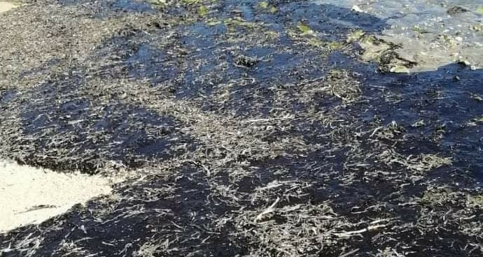 Iloilo LGUs told to monitor Mindoro oil spill