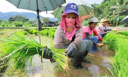 DBM allocates P43 billion for agri priority programs this year