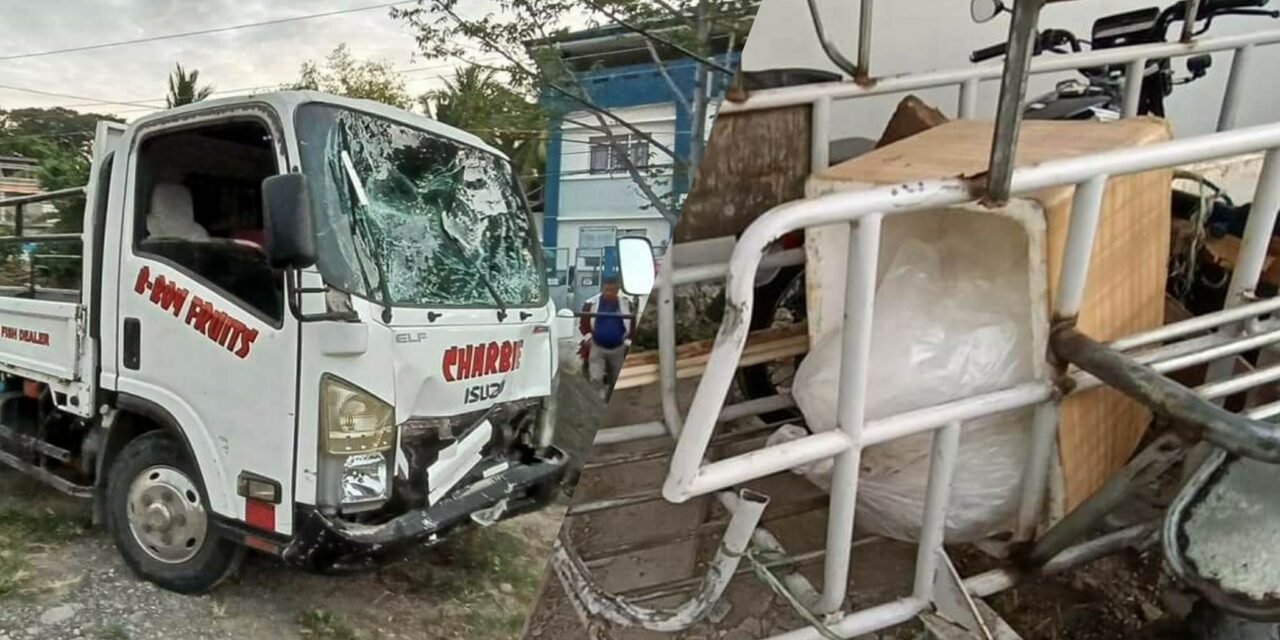 Couple killed in Miagao road mishap