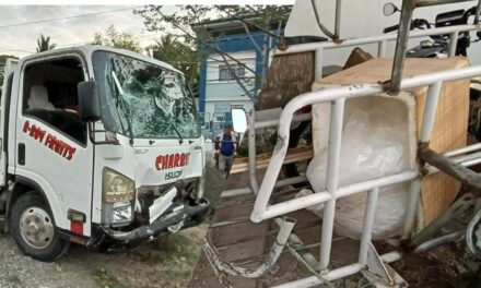 Couple killed in Miagao road mishap