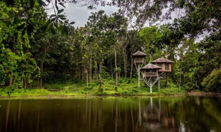 Prov’l board takes up dev’t of farm tourism in Iloilo