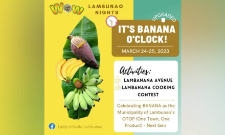 Lambunao eyes revival of banana industry