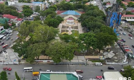 City Council allows cutting of 26 trees for Jaro Plaza rehab project