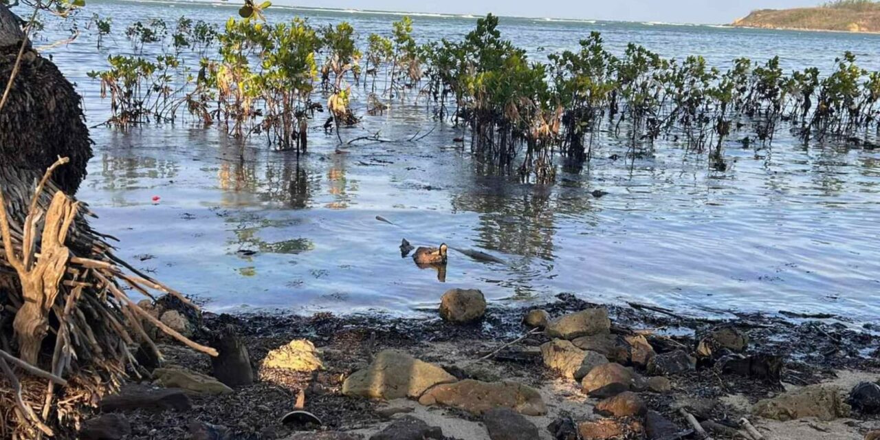 WV’s tourism industry not affected by oil spill, says DOT-6