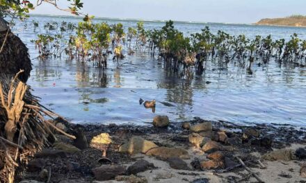 WV’s tourism industry not affected by oil spill, says DOT-6