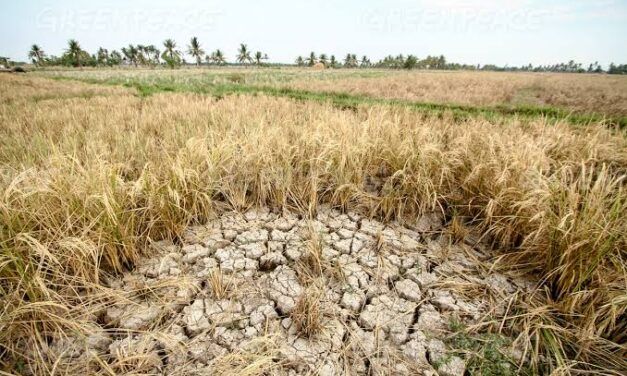 DA-6 prepares for El Niño, urges LGUs to help farmers