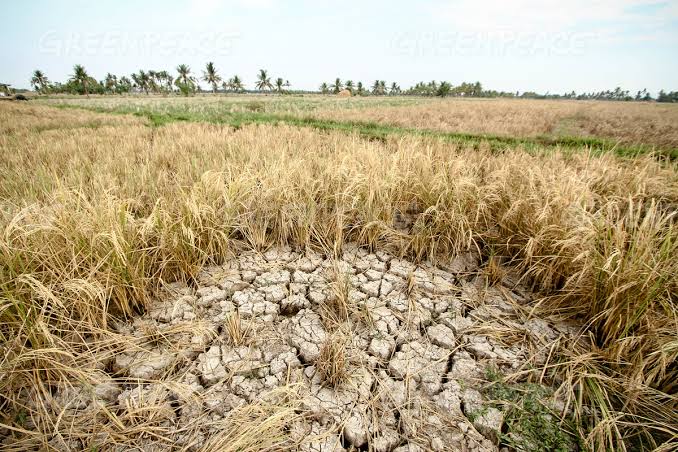 DA-6 prepares for El Niño, urges LGUs to help farmers