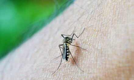 Highest in WV: Dengue cases in Iloilo province up by 218 pct