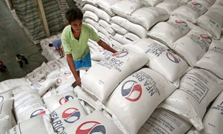 NFA-6 to buy 1.9M bags of palay due to anticipated drought