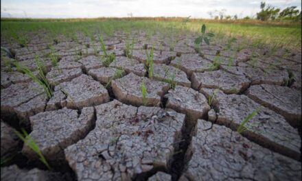 El Niño alert likely by May