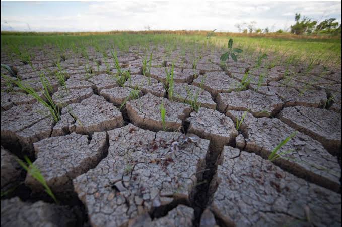 El Niño alert likely by May