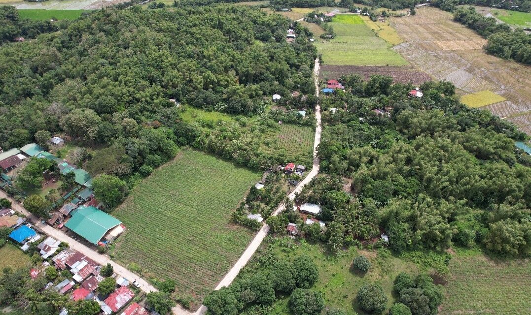 Road project seen to foster socio-economic growth in Banate