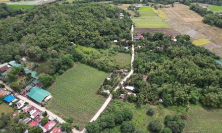 Road project seen to foster socio-economic growth in Banate