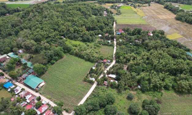 Road project seen to foster socio-economic growth in Banate