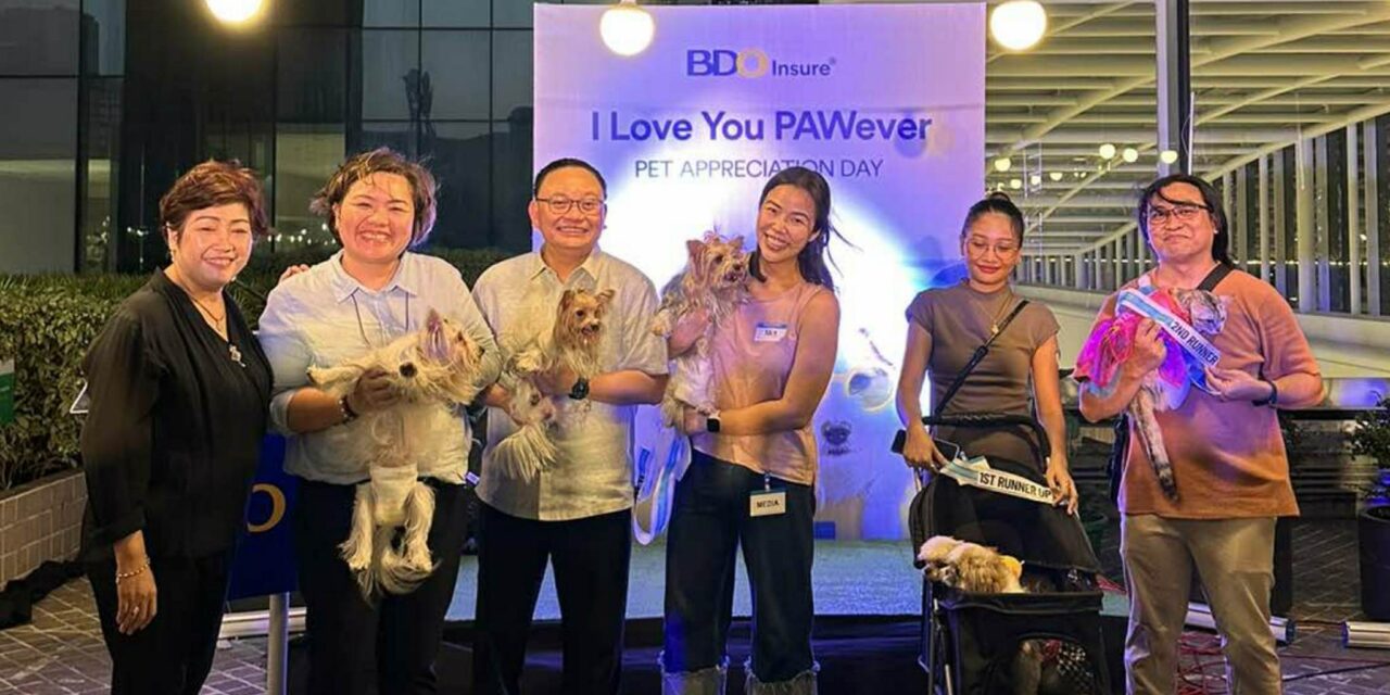 BDO Insure offers protection for pet dogs and cats