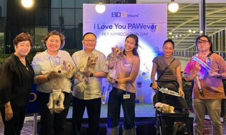 BDO Insure offers protection for pet dogs and cats