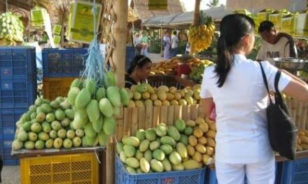 Guimaras inflation slows down to 4.8 pct