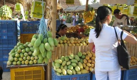Guimaras inflation slows down to 4.8 pct