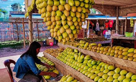 Nava says mangoes to propel Guimaras tourism into new heights