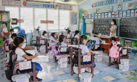 Iloilo summit to address gap in learners’ reading proficiency
