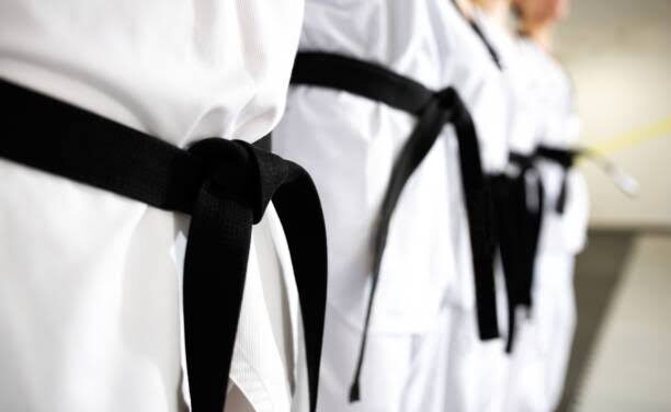 Iloilo MVP jins take home 20 medals from nat’l taekwondo tilt