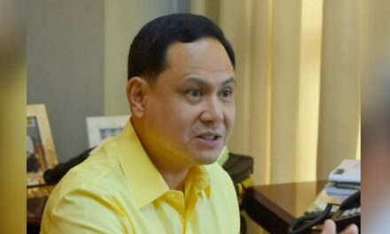 Defensor to voters: Choose worthy barangay leaders