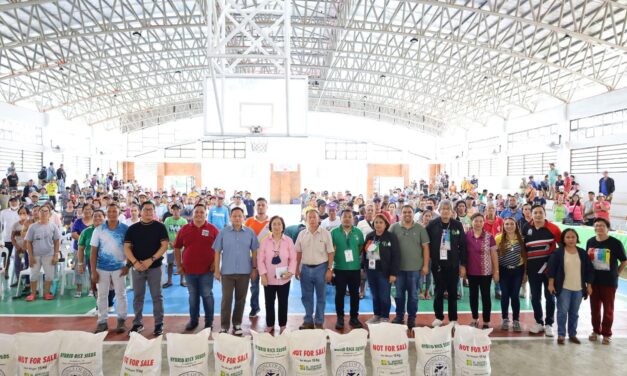 Iloilo province unveils hybrid rice seed program