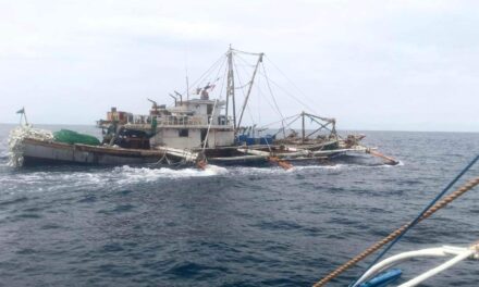 Iloilo beefs up campaign vs illegal fishing