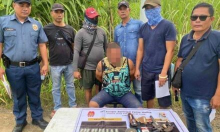 Iloilo punong barangay falls in drug buy-bust