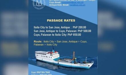 Antique-Palawan maritime route reopening to boost trade, tourism