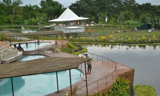 Iloilo bats for more DOT-accredited farm tourism sites