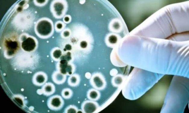 Leptospirosis deaths in Iloilo rise to 5