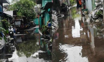 Strong winds, huge waves damage 30 houses in Iloilo City