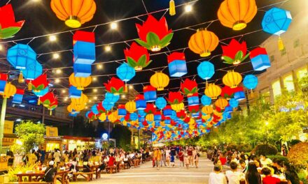 Missed the registration deadline?  You have 5 days to reactivate your SIM