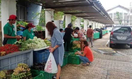 Kadiwa generates over P240-M sales for farmers in Western Visayas