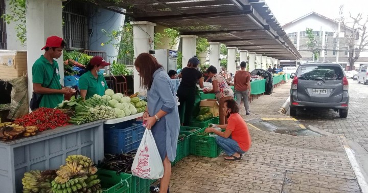 Kadiwa generates over P240-M sales for farmers in Western Visayas