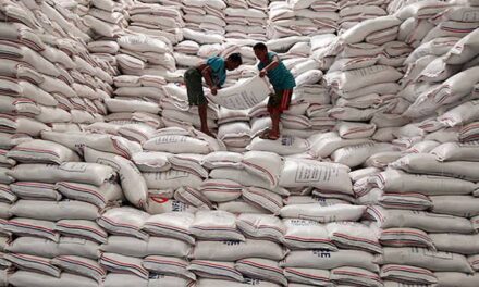 PH rice production remains ‘sound’: DA