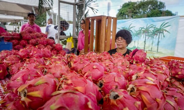 Guimaras lures more investors, tourists with dragon fruit fest