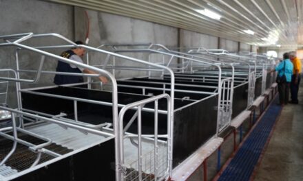 DA’s swine multiplier facilities to aid Iloilo recover from ASF