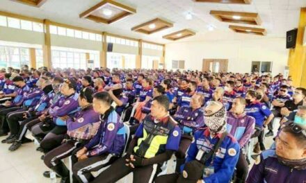 MMDA to train Iloilo City traffic enforcers, help set up academy