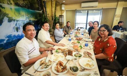 Robredo meets with Treñas, Defensor
