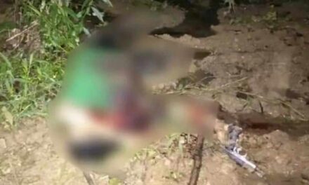 Activist turned NPA ‘political instructor’ killed in Iloilo clash