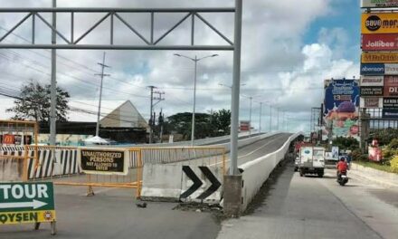 Probe into controversial flyovers in Iloilo begins
