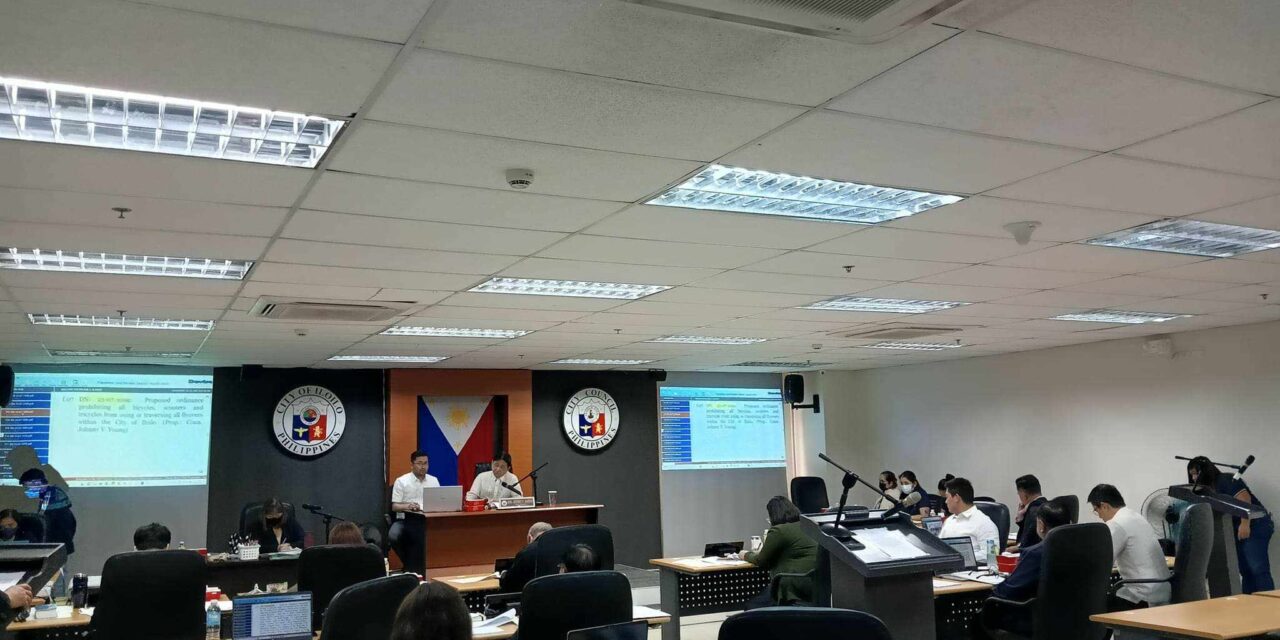 Services to start up power generators in Panay sought