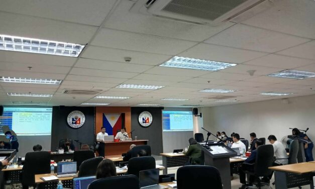 Services to start up power generators in Panay sought