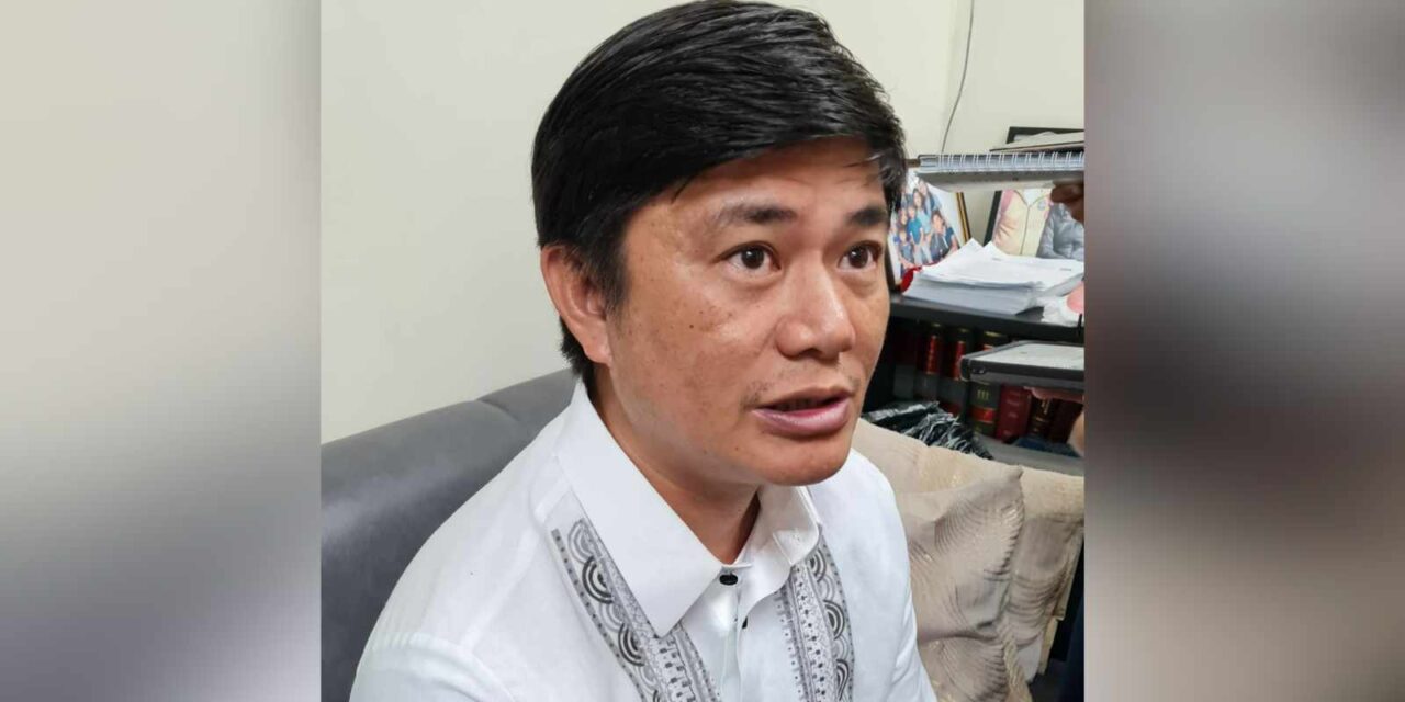 ‘I feel useless’: Iloilo City Councilor Nava quits post